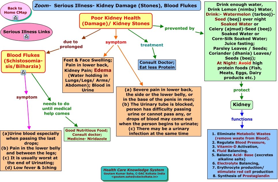 Zoom Serious Illness Kidney Damage Blood Flukes Html