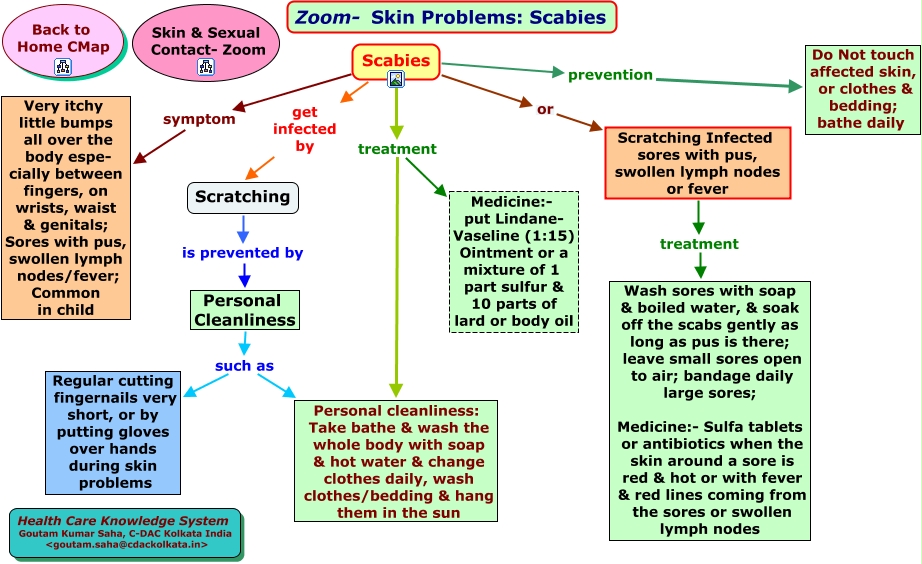 Zoom- Skin Problems-Scabies.html