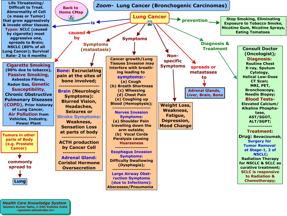 Lung Cancer Concept Map