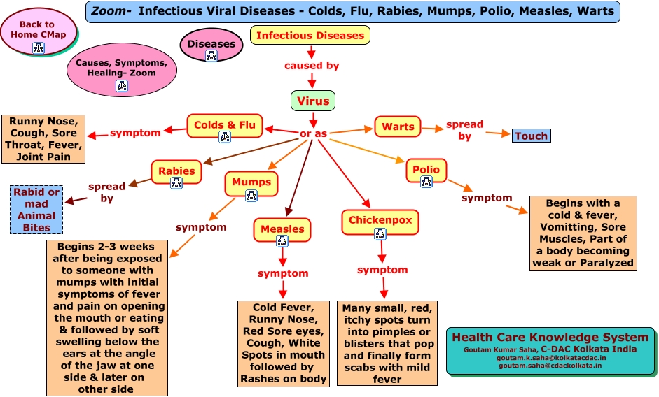 Disease перевод. Prevention of Infectious diseases. Infectious diseases текст перевод.