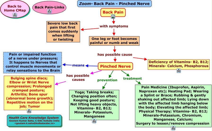 Lower Back Pinched Nerve Causes, Symptoms & Treatment - MSP