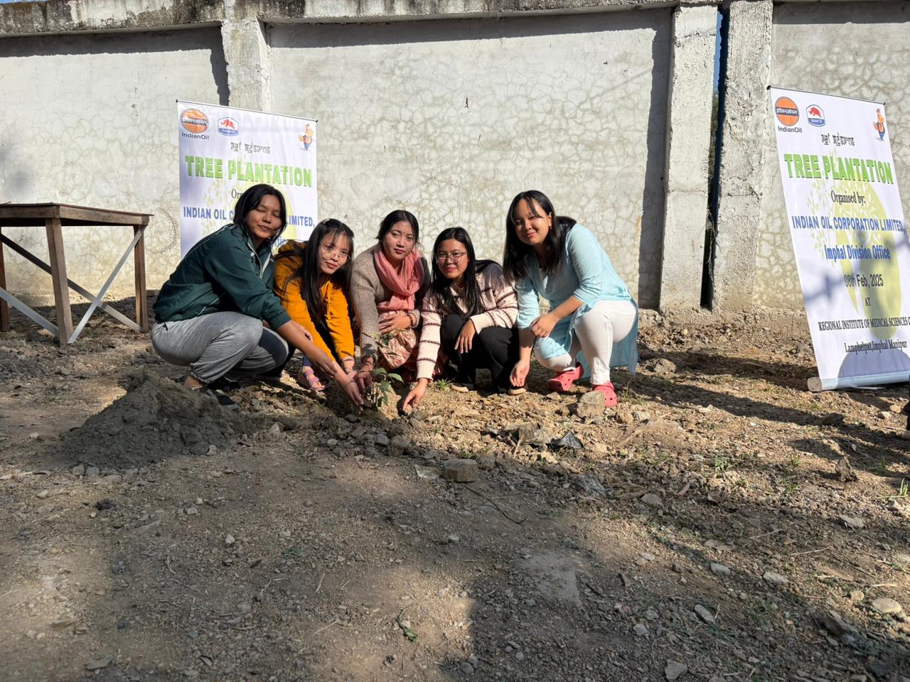 plantation4